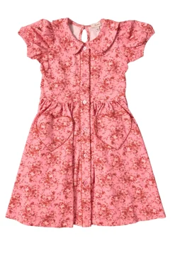 Mini Alayna Play Dress in Desert Heritage Rose