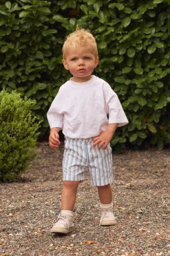Mini Boys' James Shorts in Heritage Stripe