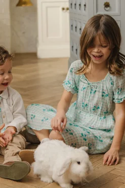 Mini Jessie Dress in Bloom Gingham