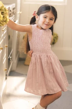Mini Karla Dress in Pink Striped Gingham