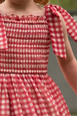 Mini Rayna Dress in Red Gingham