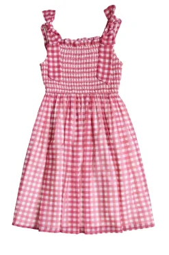 Mini Rayna Dress in Red Gingham