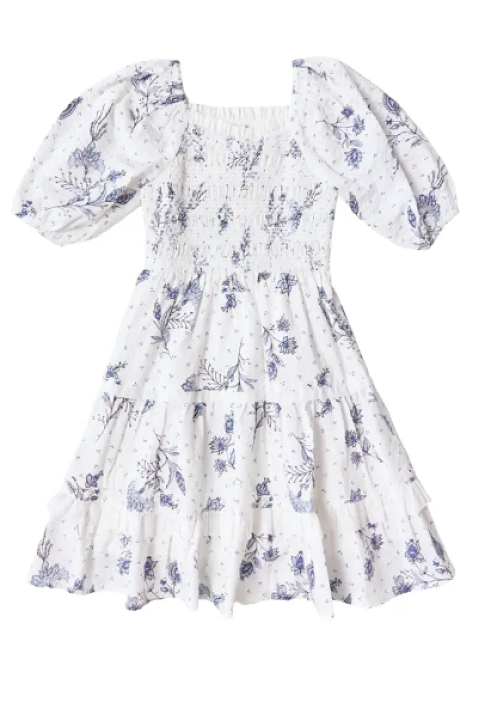 Mini Roselyn Dress in Blue Enchanted Floral