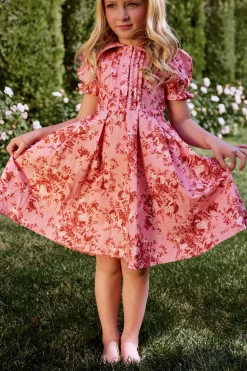 Mini Sophia Dress in Desert Heritage Rose