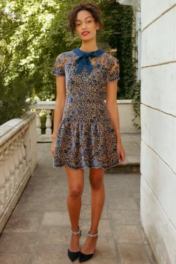 Sterling Dress in Golden Veil